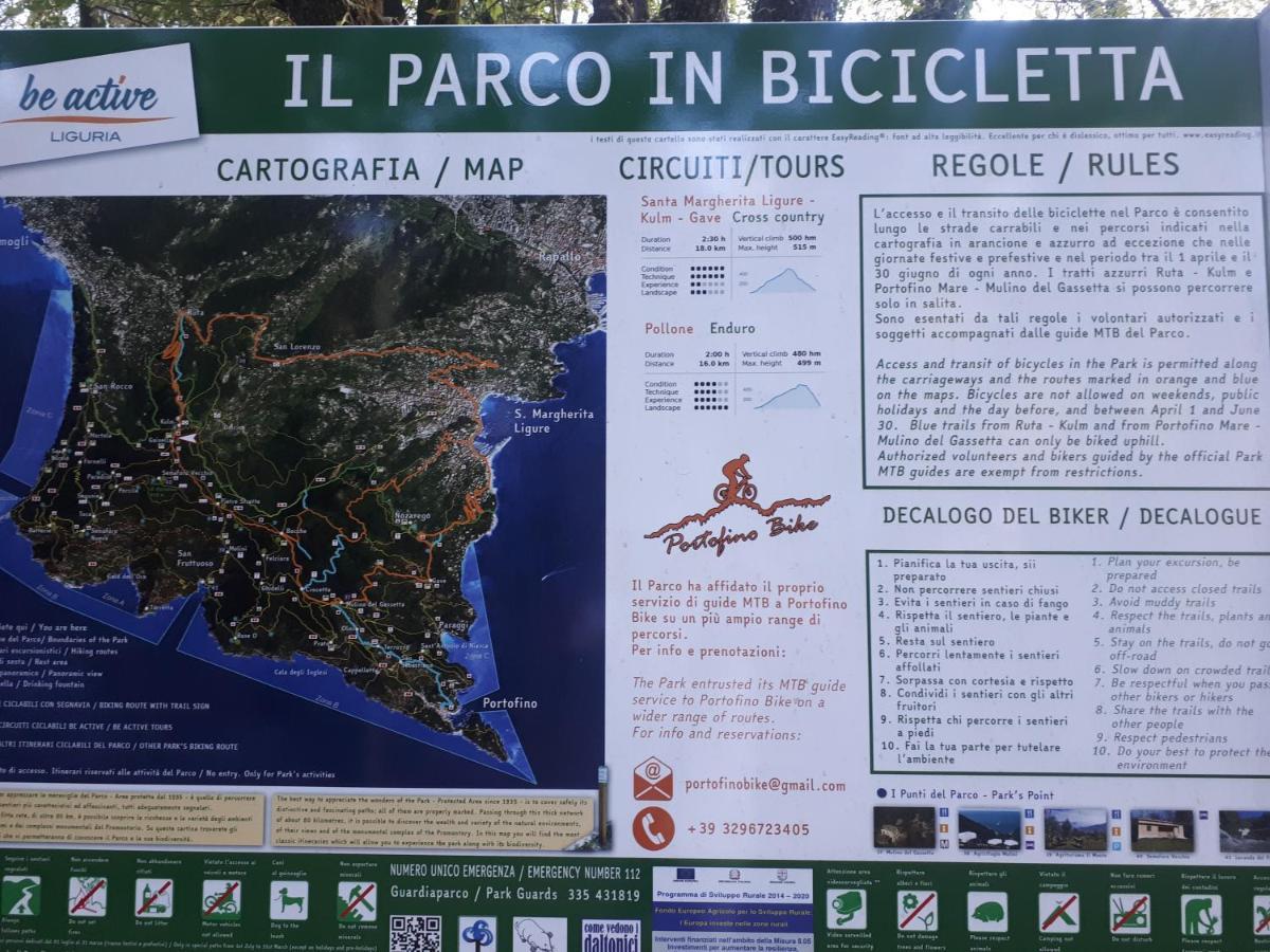Casaviva - Bilo With Seaview And Parking In Camogli Lägenhet Exteriör bild