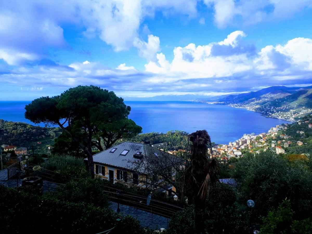 Casaviva - Bilo With Seaview And Parking In Camogli Lägenhet Exteriör bild